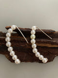 Hook Earrings